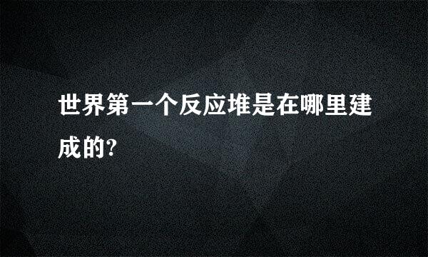 世界第一个反应堆是在哪里建成的?