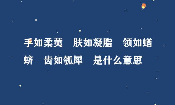 手如柔荑 肤如凝脂 领如蝤蛴 齿如瓠犀 是什么意思