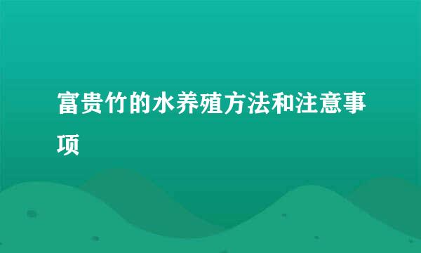 富贵竹的水养殖方法和注意事项