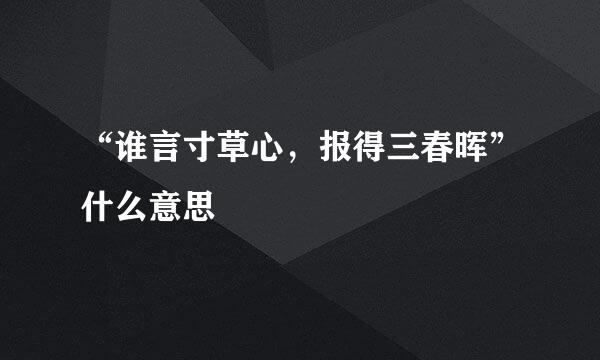 “谁言寸草心，报得三春晖”什么意思