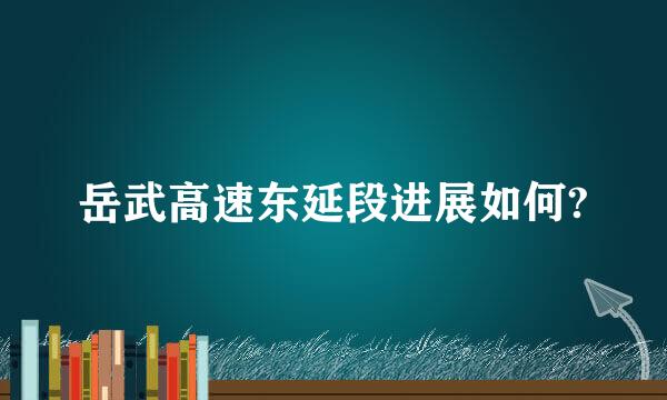 岳武高速东延段进展如何?