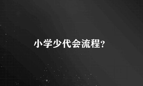 小学少代会流程？