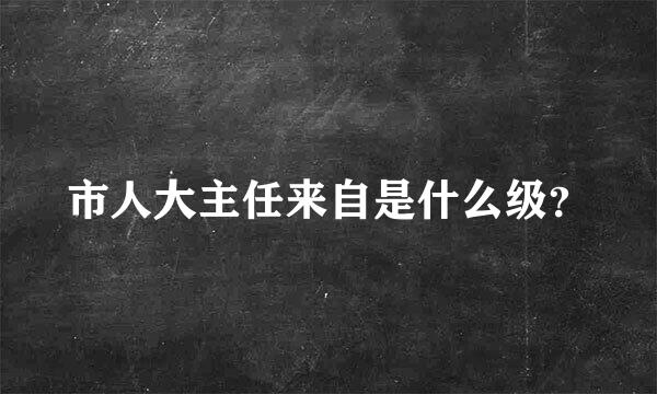 市人大主任来自是什么级？