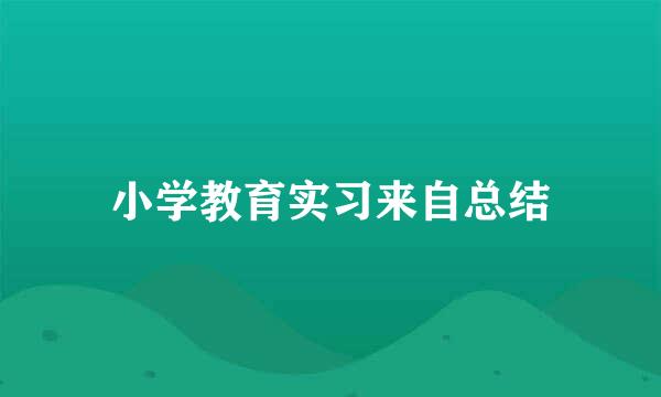 小学教育实习来自总结