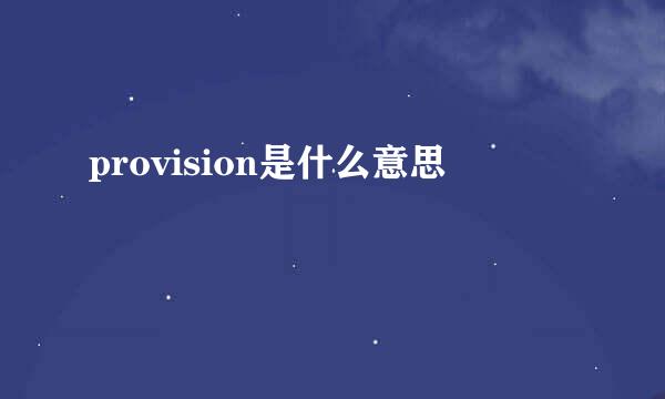 provision是什么意思