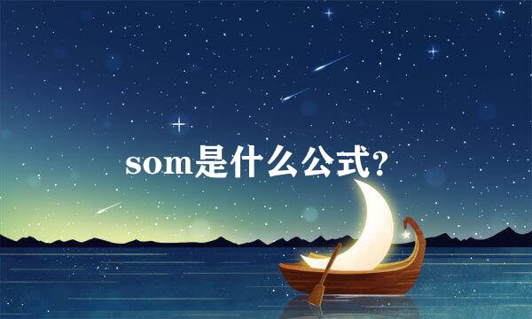 som是什么公式？