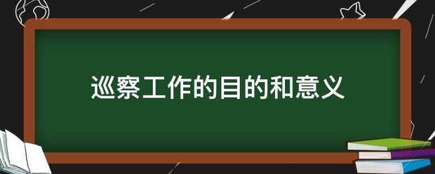 巡察工作的目的和意义际样