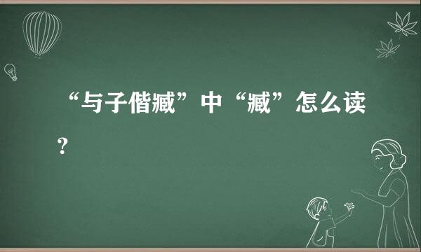 “与子偕臧”中“臧”怎么读？