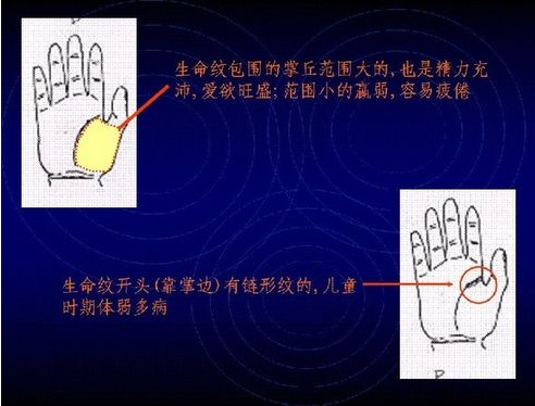 如何看手相图解