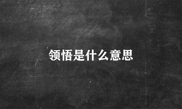 领悟是什么意思