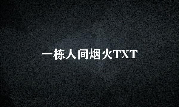 一栋人间烟火TXT