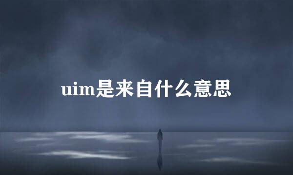 uim是来自什么意思