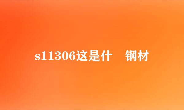 s11306这是什麼钢材