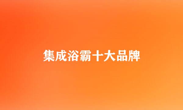 集成浴霸十大品牌