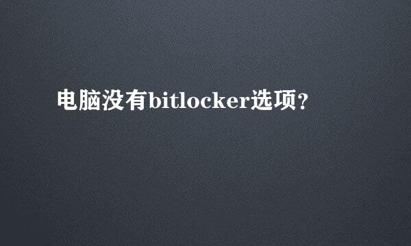 电脑没有bitlocker选项？