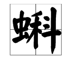 “蝌”字能组成哪些词？