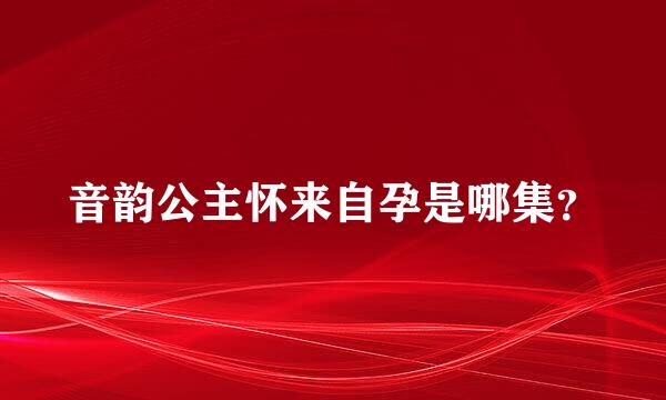 音韵公主怀来自孕是哪集？