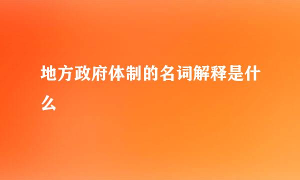 地方政府体制的名词解释是什么