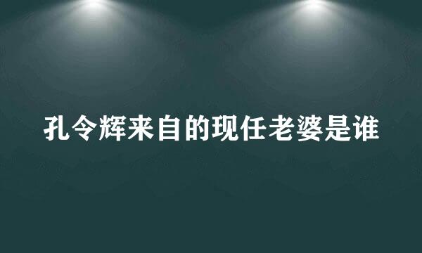 孔令辉来自的现任老婆是谁