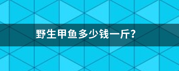 野生甲鱼多少钱一斤？