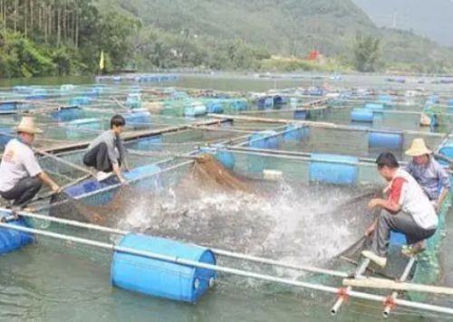 民来自生工程包括哪些项目