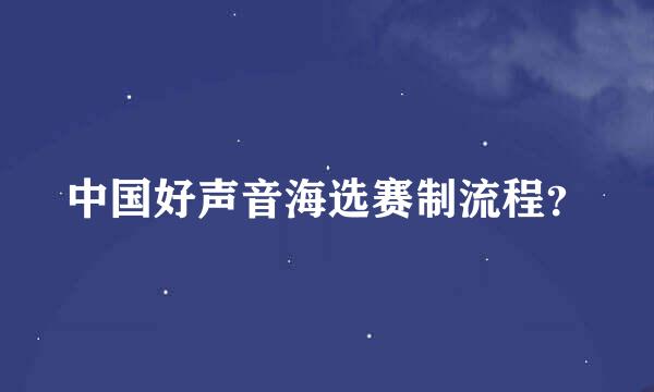 中国好声音海选赛制流程？