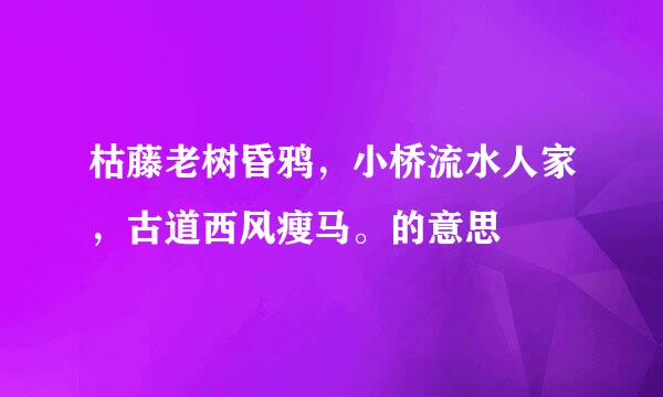 枯藤老树昏鸦，小桥流水人家，古道西风瘦马。的意思