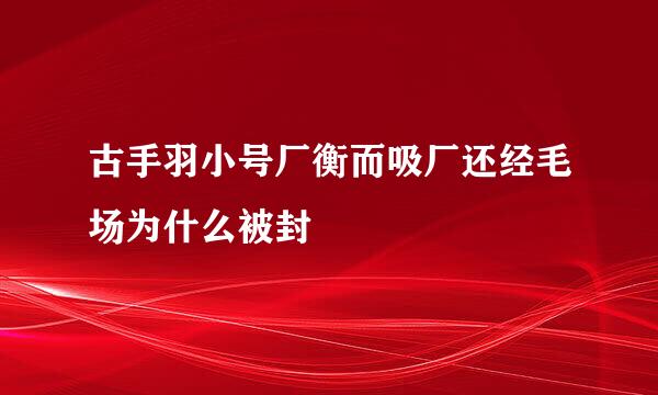 古手羽小号厂衡而吸厂还经毛场为什么被封