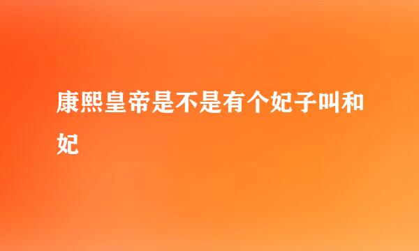 康熙皇帝是不是有个妃子叫和妃