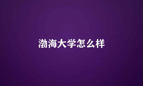 渤海大学怎么样