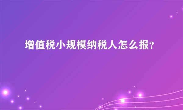 增值税小规模纳税人怎么报？