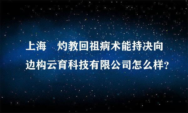 上海旻灼教回祖病术能持决向边构云育科技有限公司怎么样？