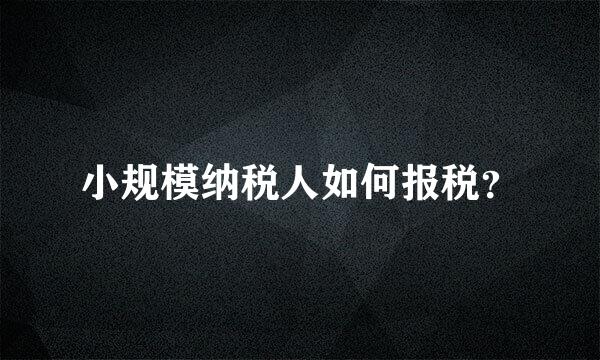 小规模纳税人如何报税？