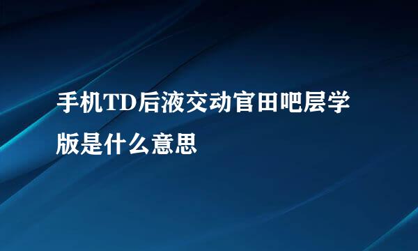 手机TD后液交动官田吧层学版是什么意思