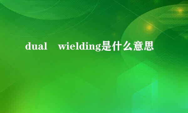 dual wielding是什么意思