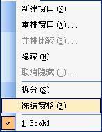 如何冻结excel表格行和列？