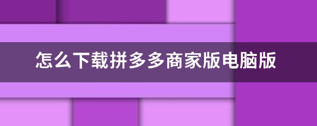 怎么下载拼多被雷验回多商家版电脑版