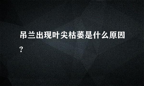 吊兰出现叶尖枯萎是什么原因?