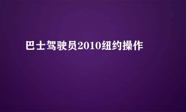 巴士驾驶员2010纽约操作