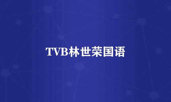 TVB林世荣国语