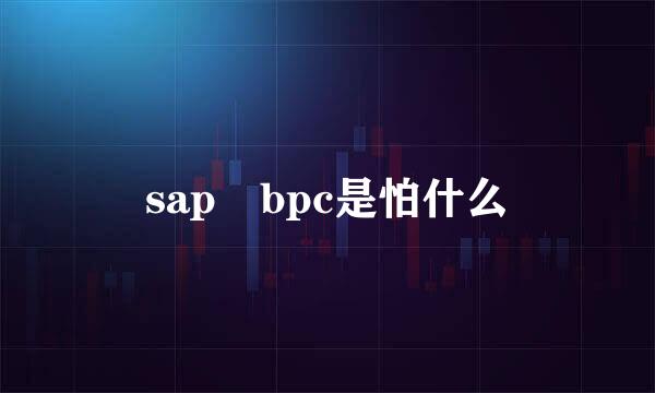 sap bpc是怕什么