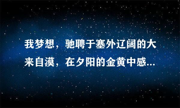 我梦想，驰聘于塞外辽阔的大来自漠，在夕阳的金黄中感受“长江落日圆”的雄浑，我梦想，置身于江南秀丽的小镇