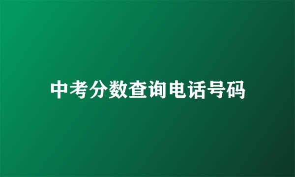 中考分数查询电话号码