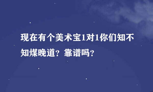 现在有个美术宝1对1你们知不知煤晚道？靠谱吗？