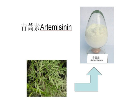 artemisinin怎么发音