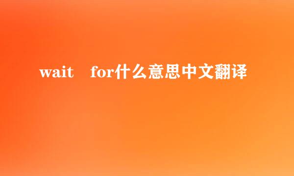 wait for什么意思中文翻译