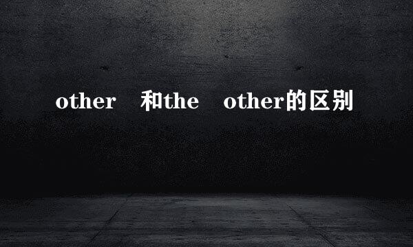 other 和the other的区别