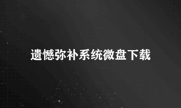 遗憾弥补系统微盘下载