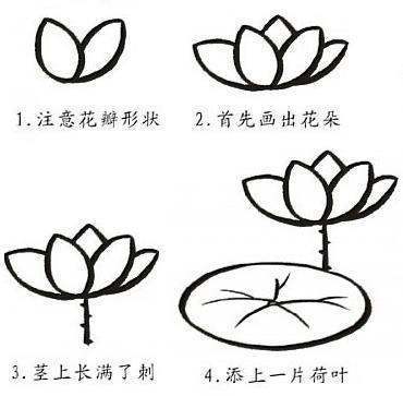 莲花简笔画