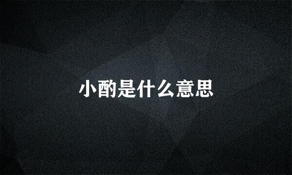 小酌是什么意思